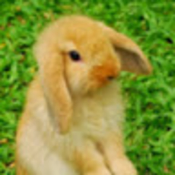 Meet your Posher, Jessica - Picture 1 of 1